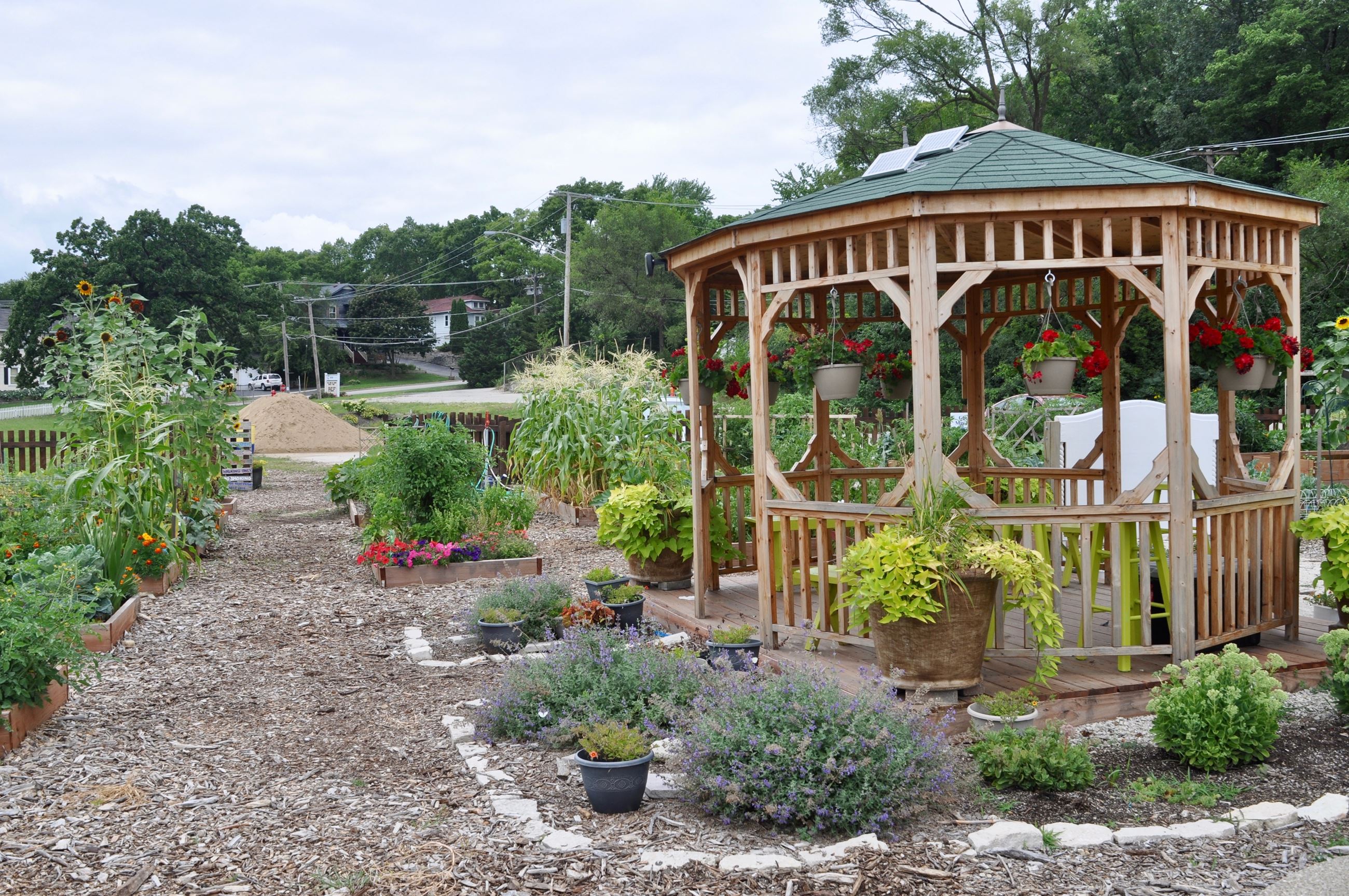 31-leslieaphoto-foxlake-communitygarden2017-7