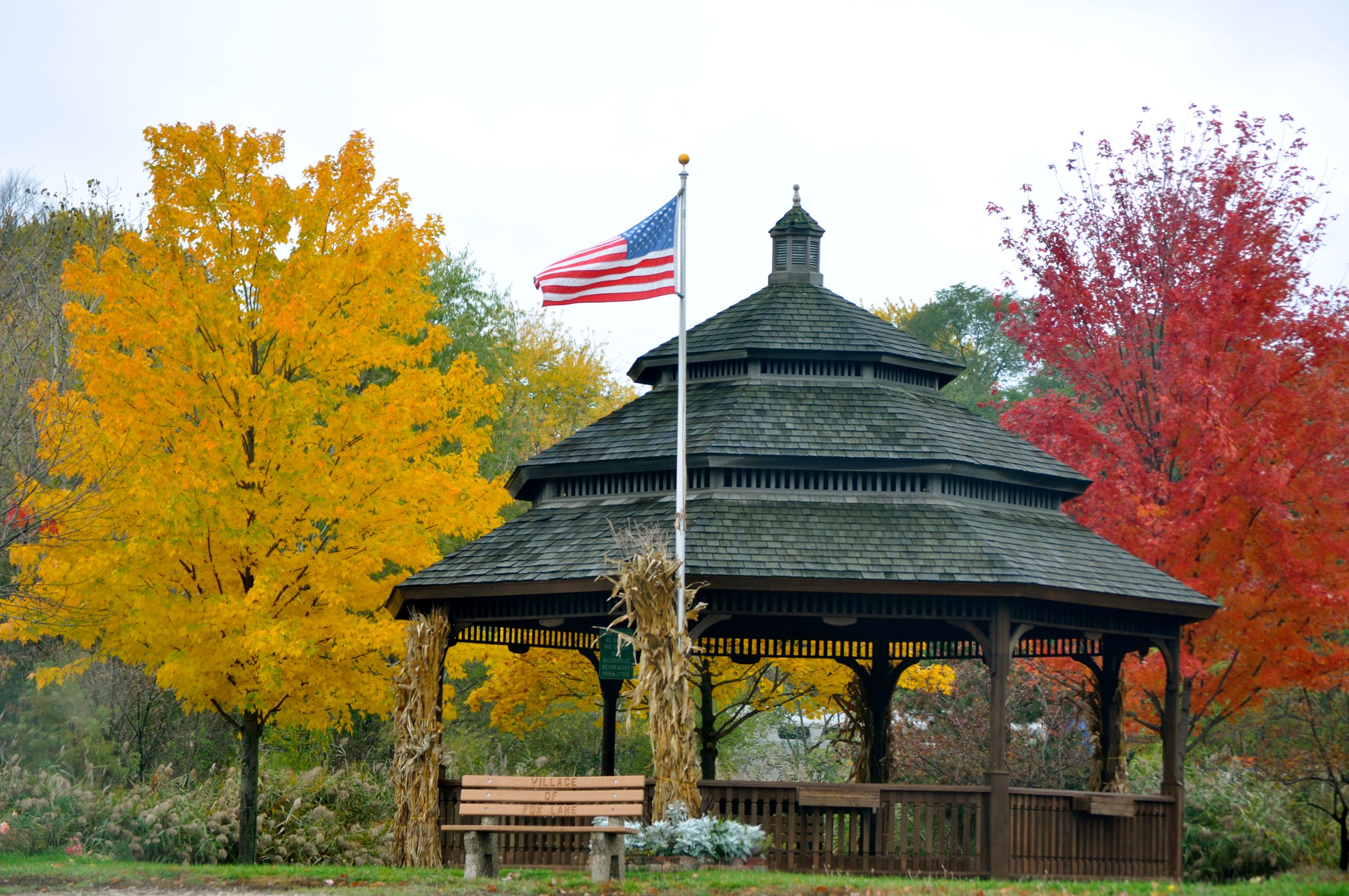 01-leslieaphoto-foxlake-milleniumpark-fall